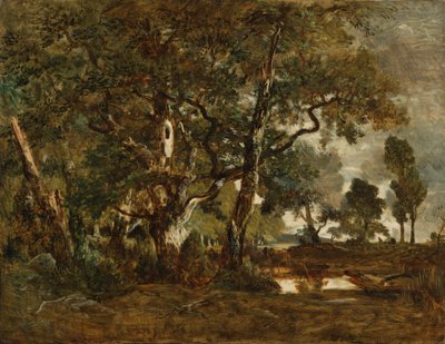 Forest of Fontainebleau, Cluster of Tall Trees Overlooking the Plain of Clair-Bois at the Edge of Bas-Bréau by Theodore Rousseau