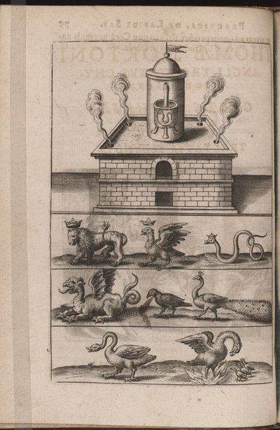 Illustration for Tripvs Avrevs, hoc est, Tres tractatvs chymici selectissimi by Theodore de Bry