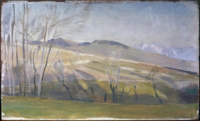 Die Höhen von Lavaux von Theophile Bischoff