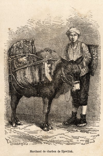 A Coal Merchant in Djewilisk (Northern Anatolia) by Theophile Louis Deyrolle