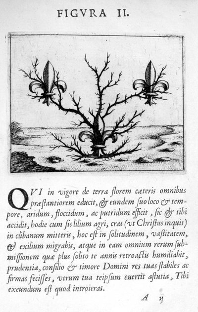 Prophecy Figure II from Prognosticatio Eximii Doctoris Paracelsi by Theophrastus Bombastus von Hohenheim Paracelsus