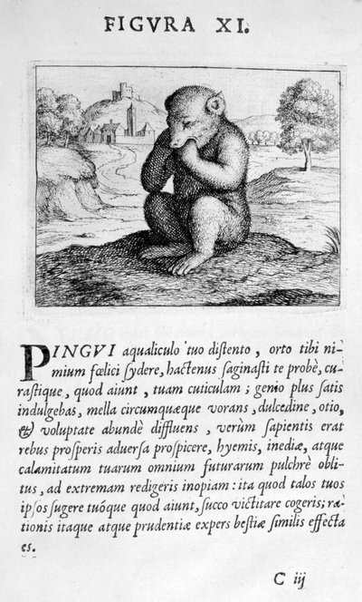 Prophecy Figure XI from Prognosticatio Eximii Doctoris Paracelsi by Theophrastus Bombastus von Hohenheim Paracelsus
