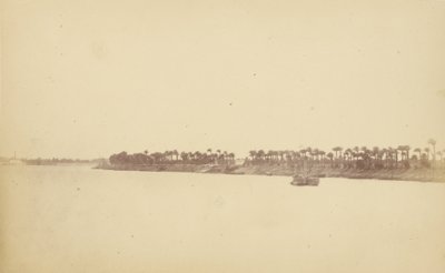 Banks of the Nile with Palm Trees and Boats by Théodule Devéria