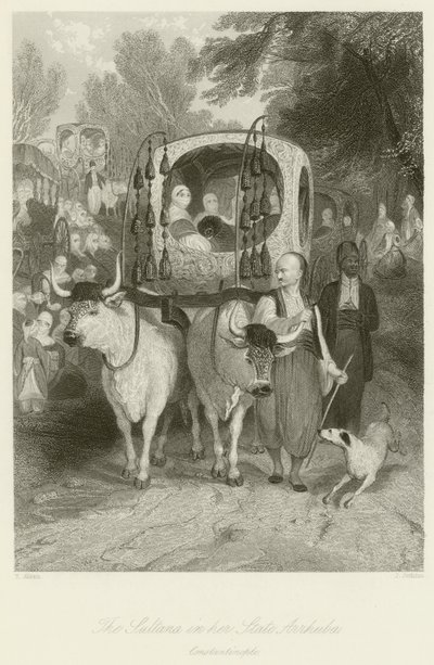 The Sultana in Her State Arrhuba by Thomas Allom