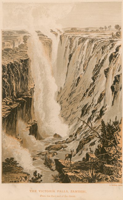 The Victoria Falls by Thomas Baines