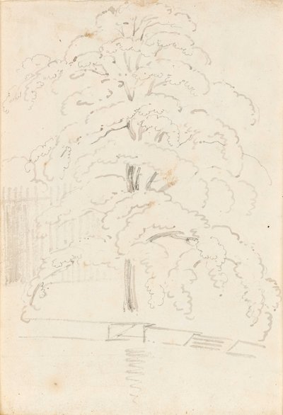 A Study of a Tree Over Water by Thomas Baxter