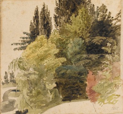A Study of Trees in the Grounds at Merton Place by Thomas Baxter