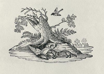 A Civet with a Cockerel from 