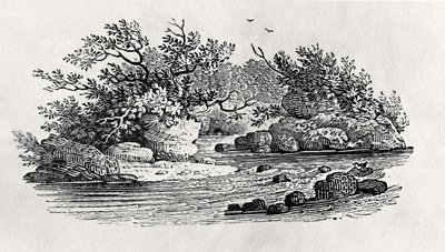 A bend in the river, from 