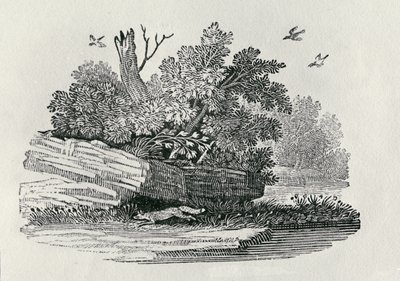 Fox Escaping, from 