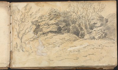 Album of Landscape and Figure Studies: Sketch of Trees and Rocks by Thomas Bradshaw