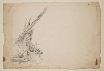 Broken Trunk of a Tree by Thomas Cole