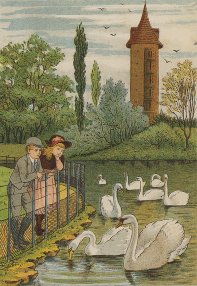 Paris: the swans by Thomas Crane