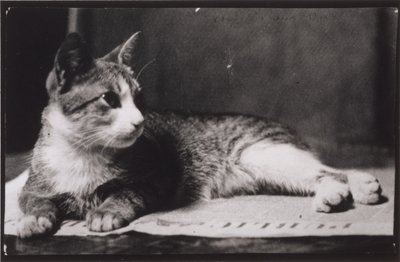 Mrs. Thomas Eakins