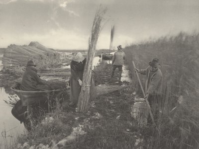 During the Reed-Harvest, 1886 by Thomas Frederick Goodall
