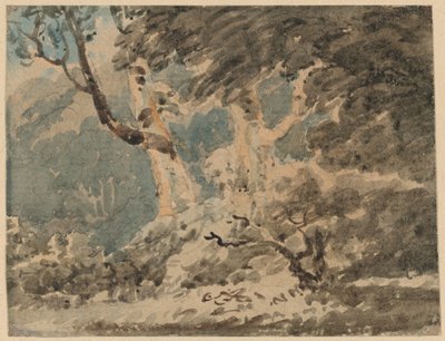 The Edge of a Wood by Thomas Girtin