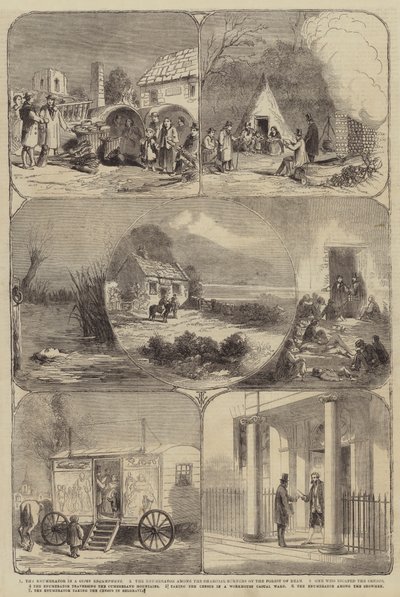 Census by Thomas Harrington Wilson