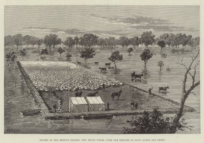 Floods at the Brewon Station, New South Wales, with Dam Erected to Save Cattle and Sheep by Thomas Harrington Wilson