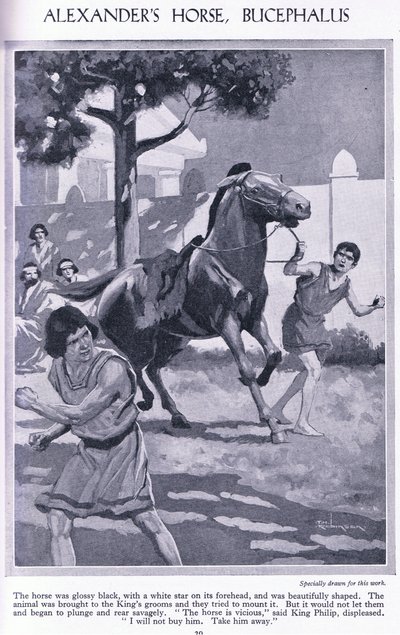 Alexander