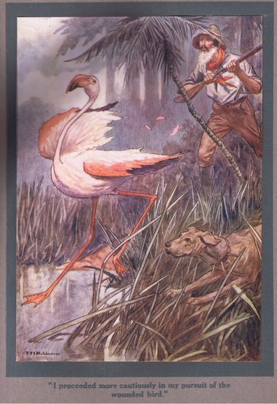 I Proceeded More Cautiously in My Pursuit of the Wounded Bird by Thomas Heath Robinson