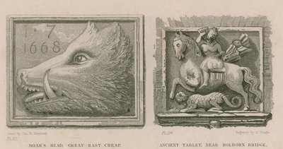 Boar