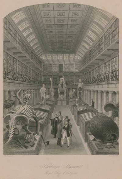 Hunterian Museum, Royal College of Surgeons, London by Thomas Hosmer Shepherd