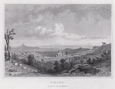 Wells, Somersetshire by Thomas Hosmer Shepherd