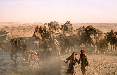 Tribal children with camel caravan, kuchi caravaneers, paused at irrigation ditch by Thomas J. Abercrombie