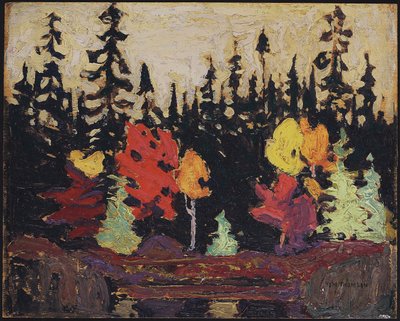 Black Spruce and Maple by Tom Thomson