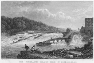 The Coleraine Salmon Leap, County Londonderry by Thomas Mann (after) Baynes