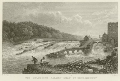 The Coleraine Salmon Leap by Thomas Mann Baynes