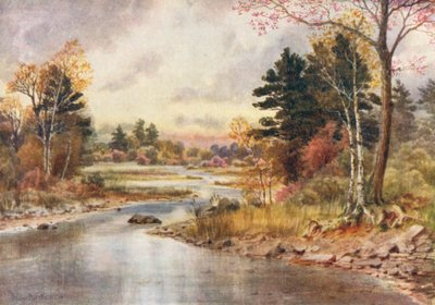 Autumn in New Brunswick by Thomas Mower Martin