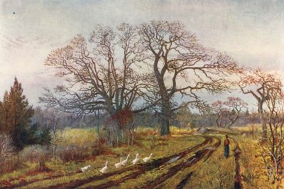 Early Spring, near Victoria, British Columbia by Thomas Mower Martin