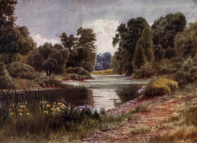 Kew Gardens: The Lake, Looking South by Thomas Mower Martin