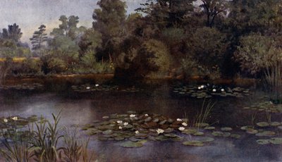 Kew Gardens: The Water Lily Pond by Thomas Mower Martin