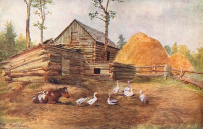 Settler