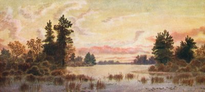 Sunset on Canoe Lake, Parry Sound by Thomas Mower Martin