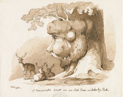Wolseley Park - Knot on an Oak Tree by Thomas Peploe Wood