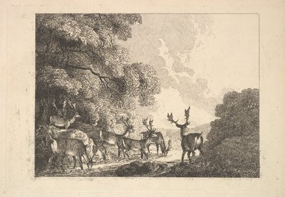 A Group of Stags Drinking, 1784-88 by Thomas Rowlandson