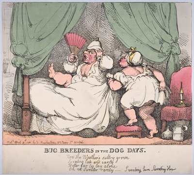 Bug Breeders in the Dog Days by Thomas Rowlandson