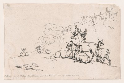 Deer from Plate 3, Outlines of Figures, Landscapes and Cattle...for the Use of Le... by Thomas Rowlandson