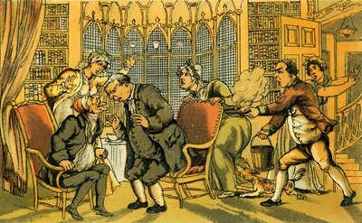Dr Syntax in danger by Thomas Rowlandson