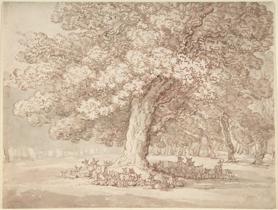 Herd of Deer Under an Oak Tree by Thomas Rowlandson