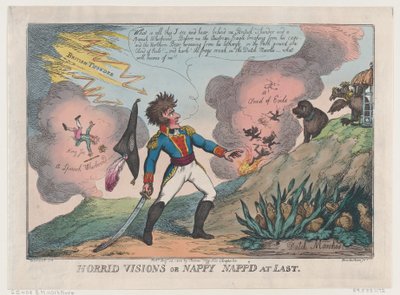 Horrid Visions of Nappy Napp