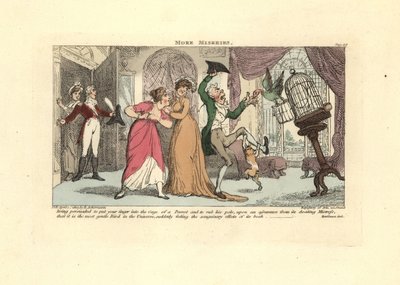 Man being attacked by a parrot and cat in a drawing room by Thomas Rowlandson