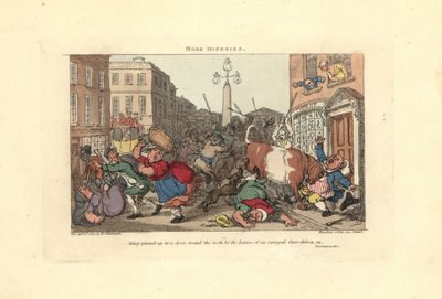 Man pinned to a door by the horns of an enraged ox by Thomas Rowlandson