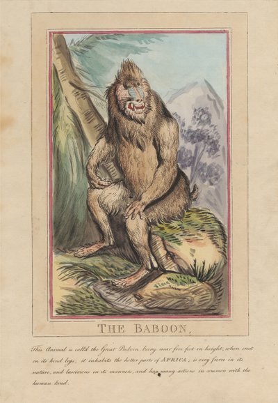 Set of Eight with Title-Page. 
