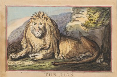 Set of eight with title-page. 