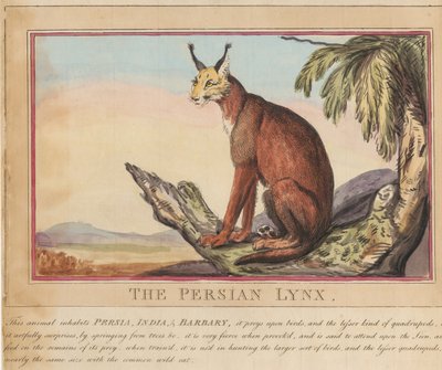 Set of eight with title-page. 
