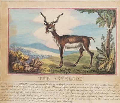 Set of Eight with Title-Page. 